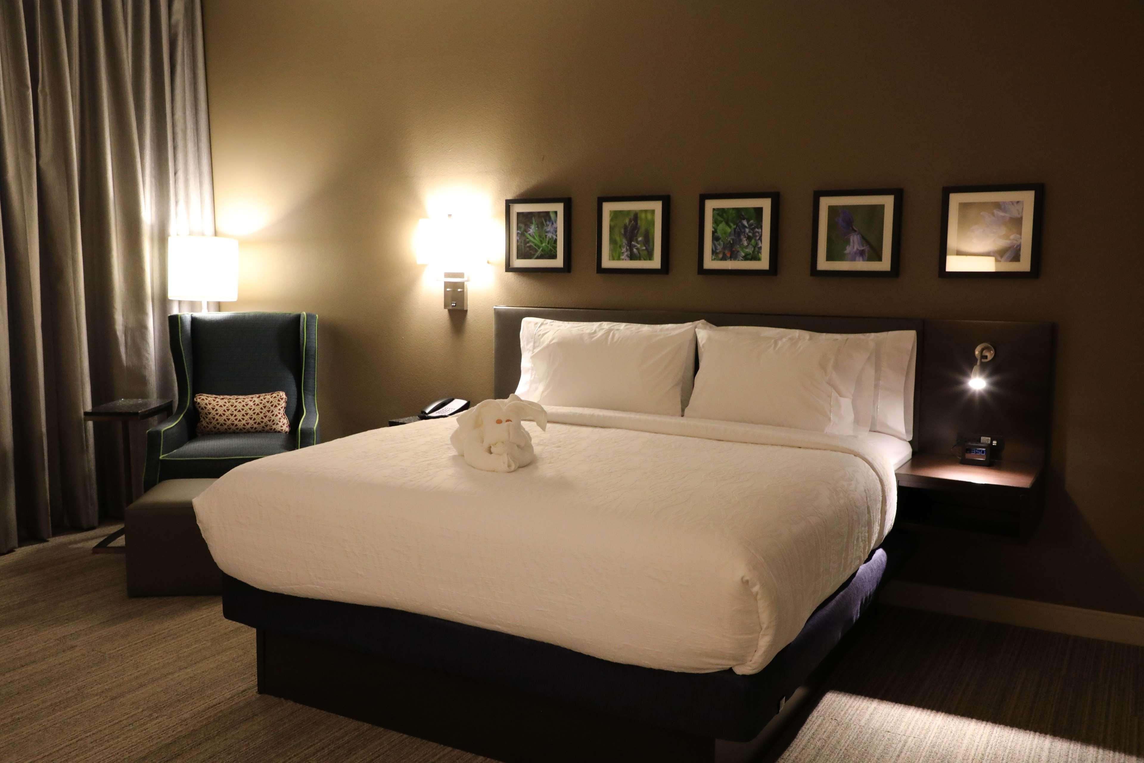 Hilton Garden Inn Austin Airport Buitenkant foto
