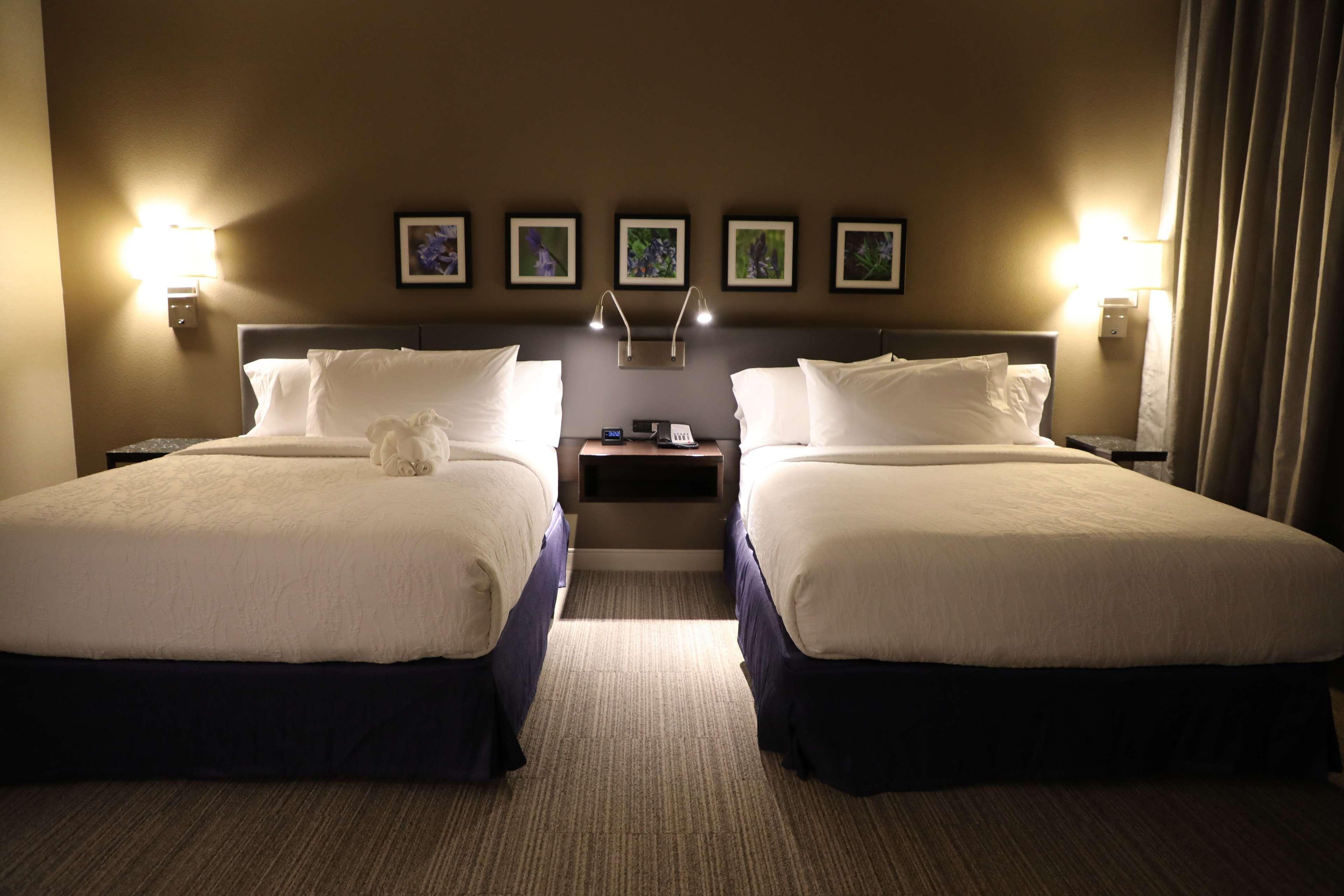 Hilton Garden Inn Austin Airport Buitenkant foto