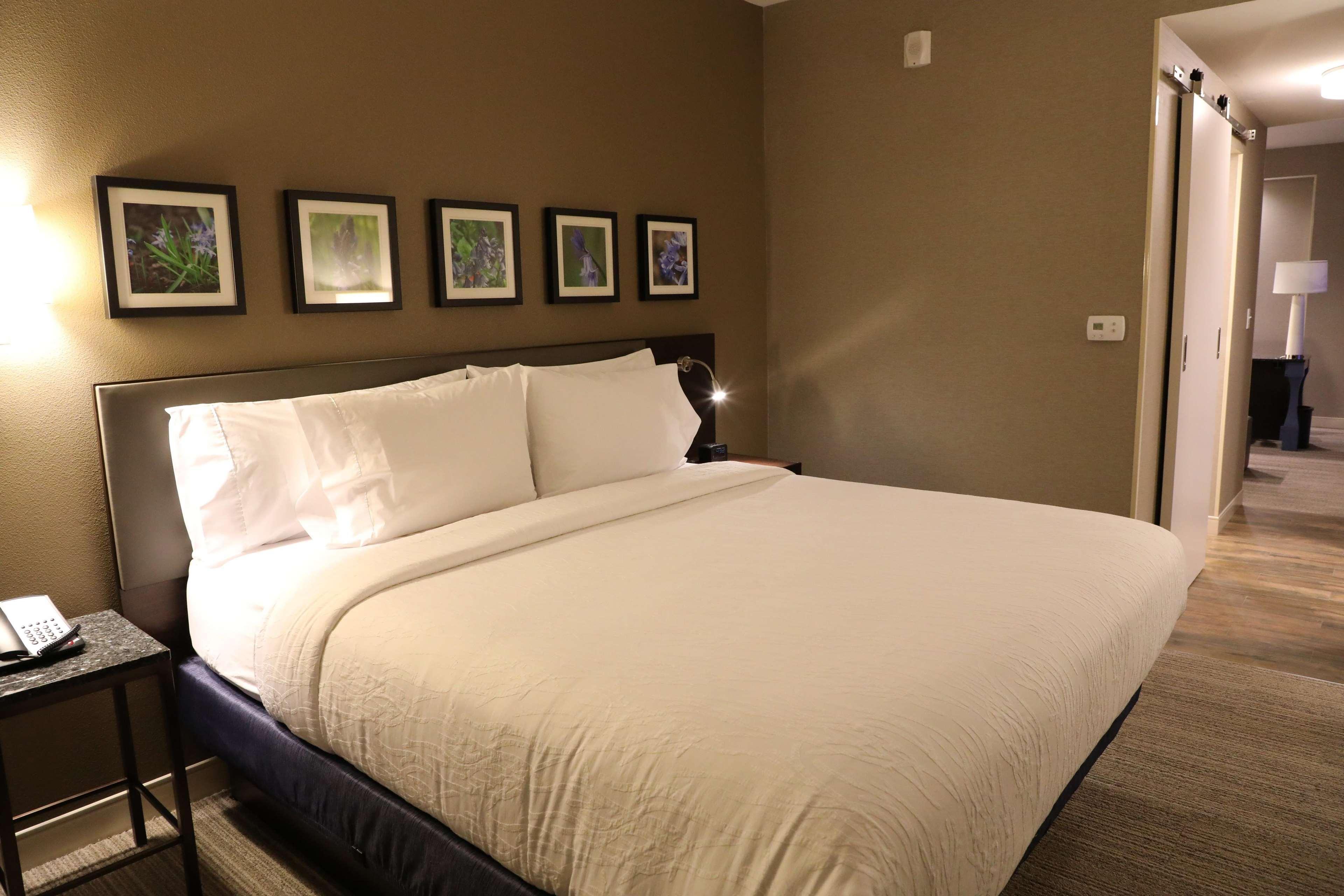 Hilton Garden Inn Austin Airport Buitenkant foto